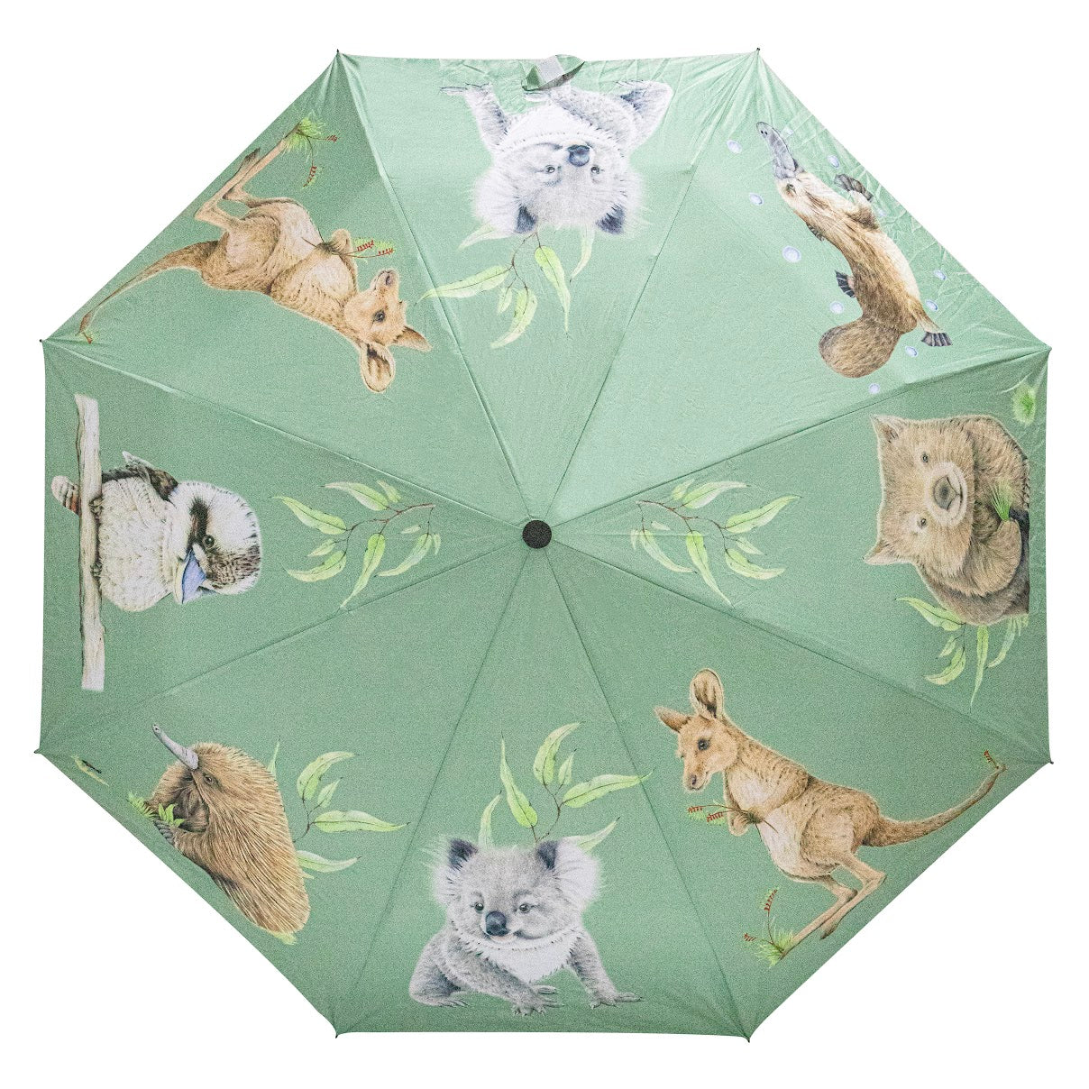 Bush Buddies - Umbrella