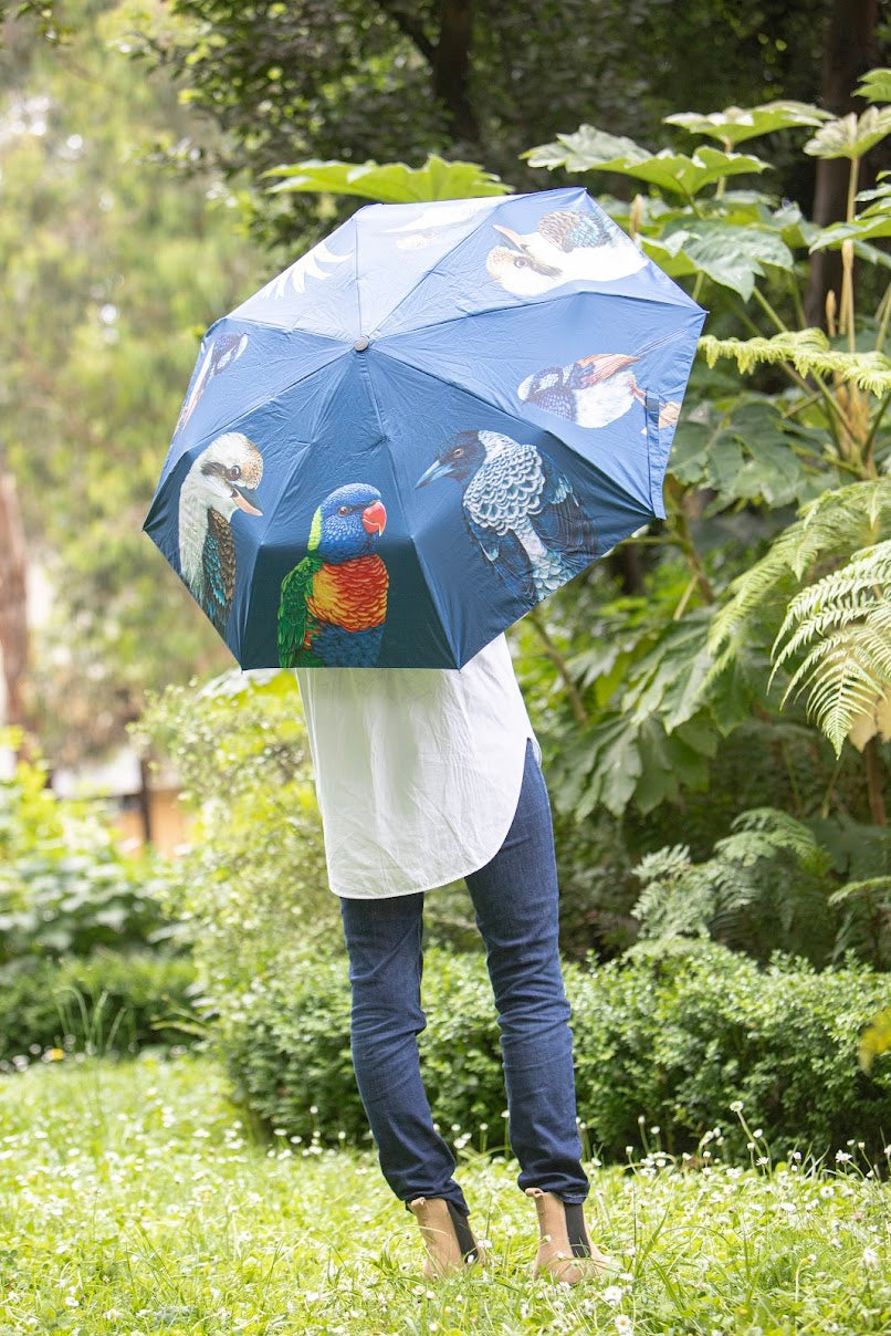 Modern Birds - Umbrella