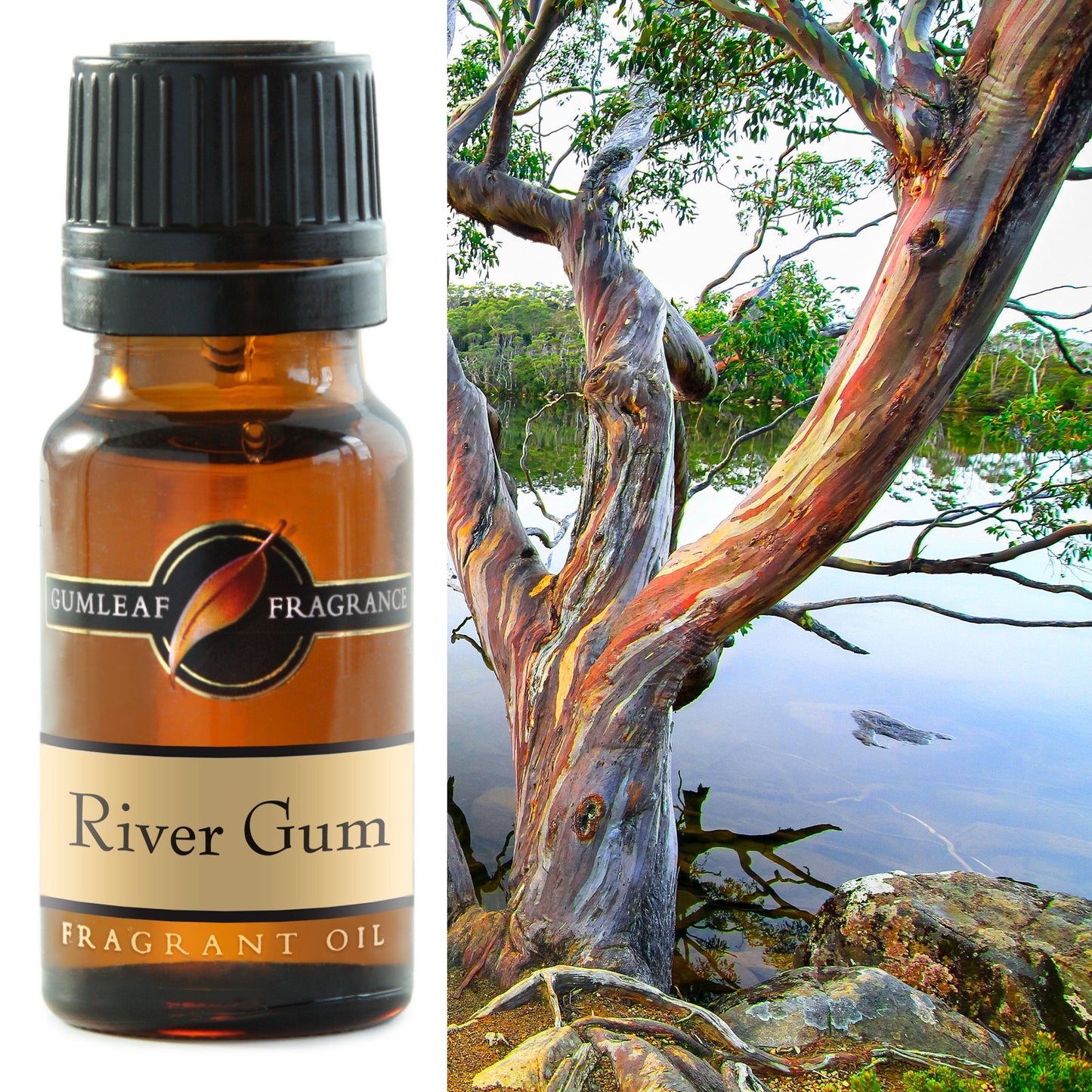 Fragrance Oil - River Gum