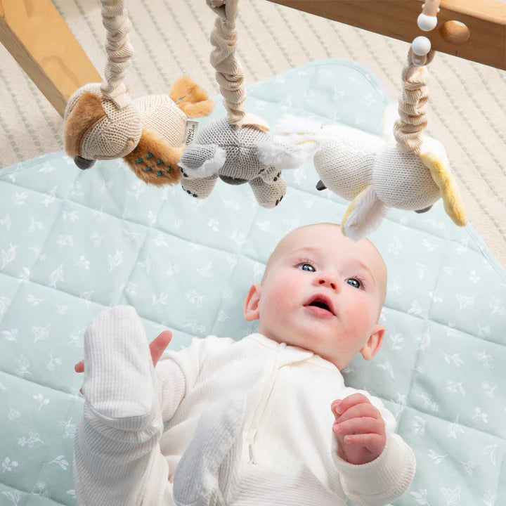 Stroller Toys 2PK - Koala & Cockatoo