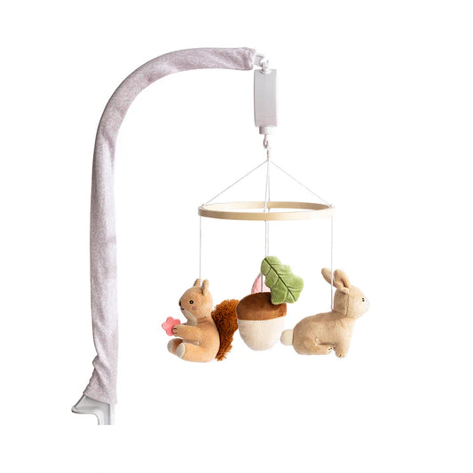 Whimsical Wonderland - Musical Mobile Set