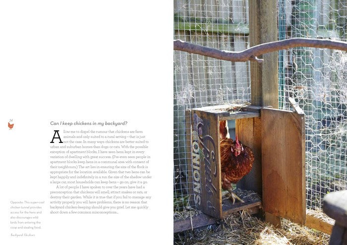 Backyard Chickens: How To Keep Happy Hens