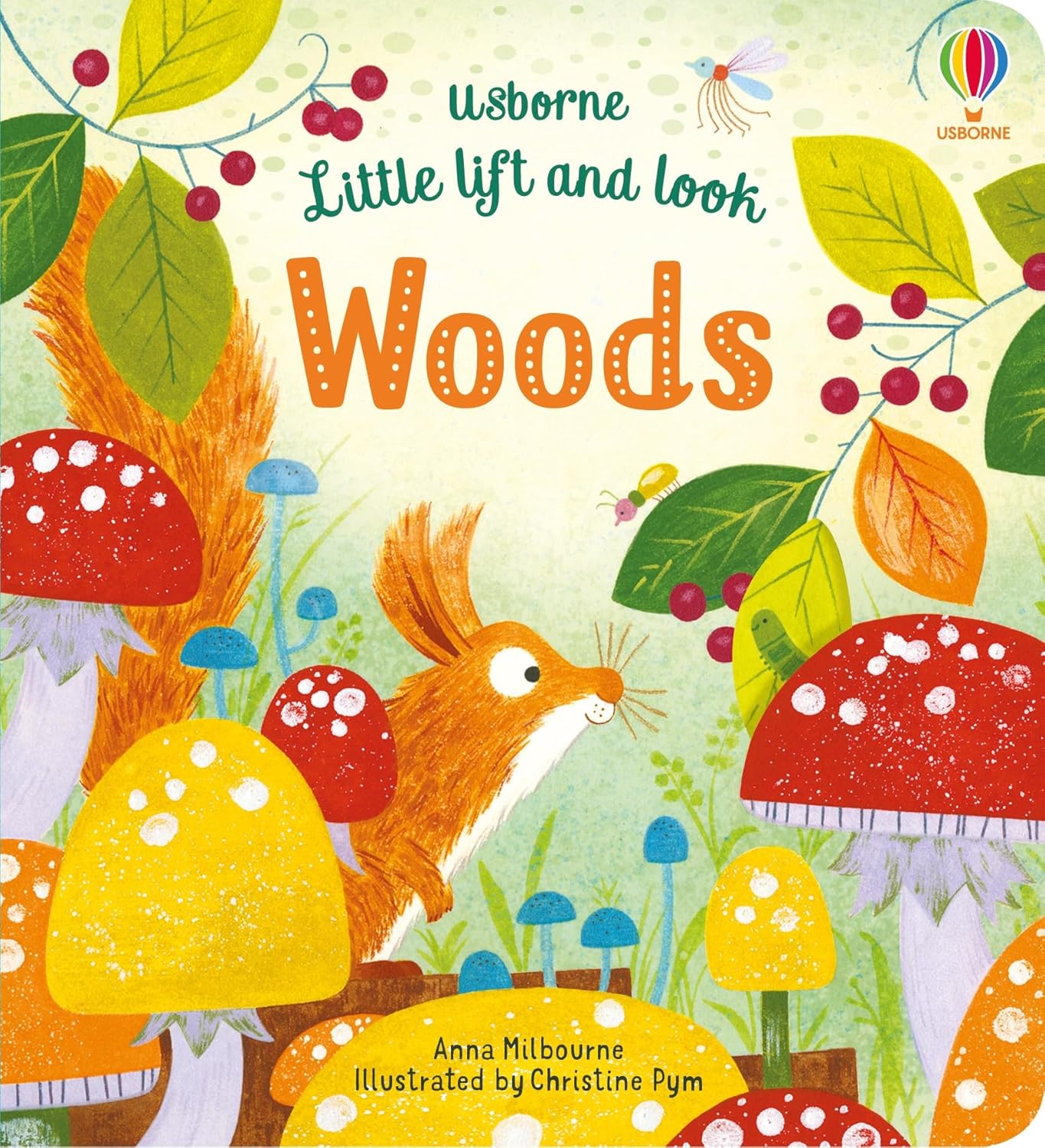Little Lift and Look Book - Woods