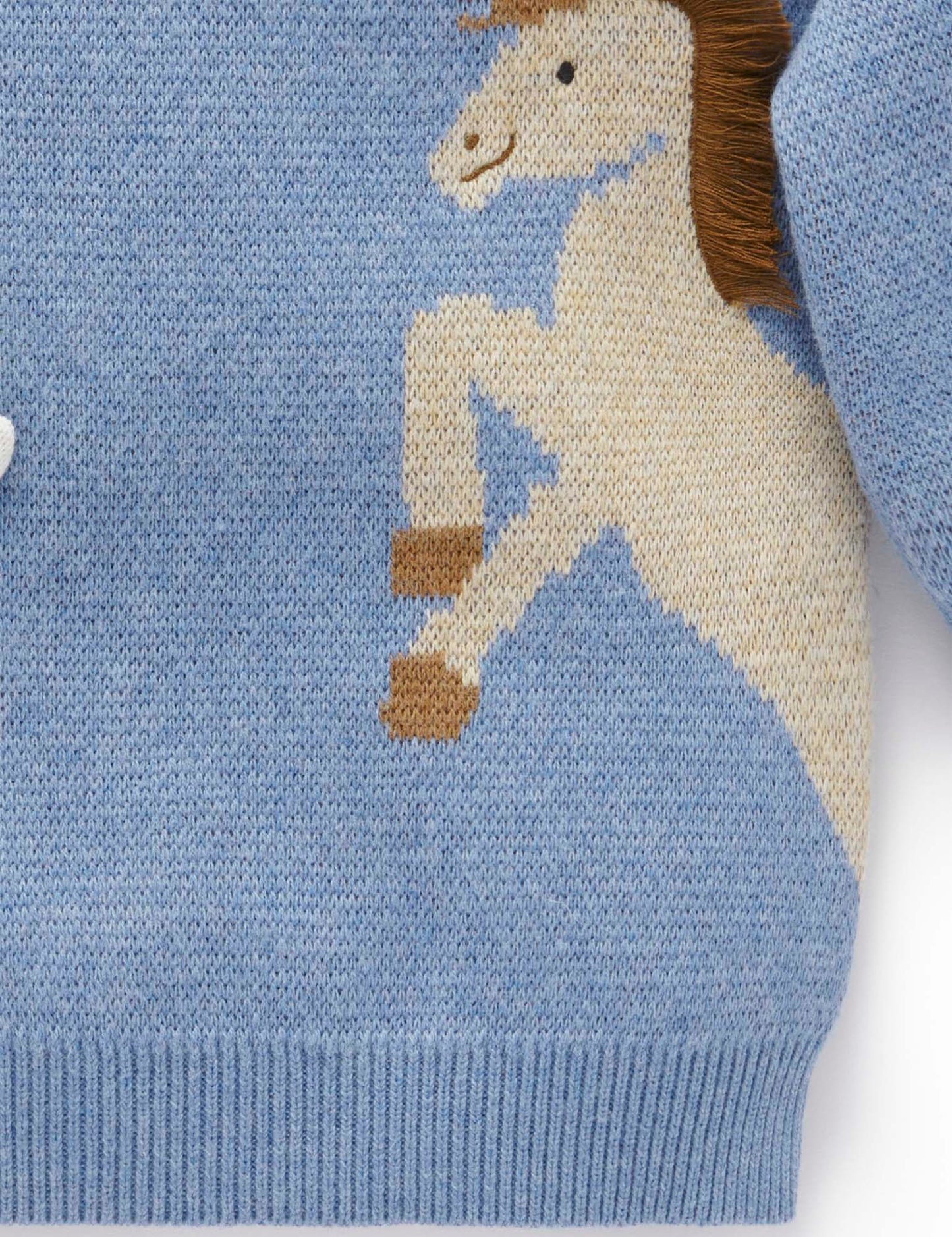 Blue Animal Crackers Jumper