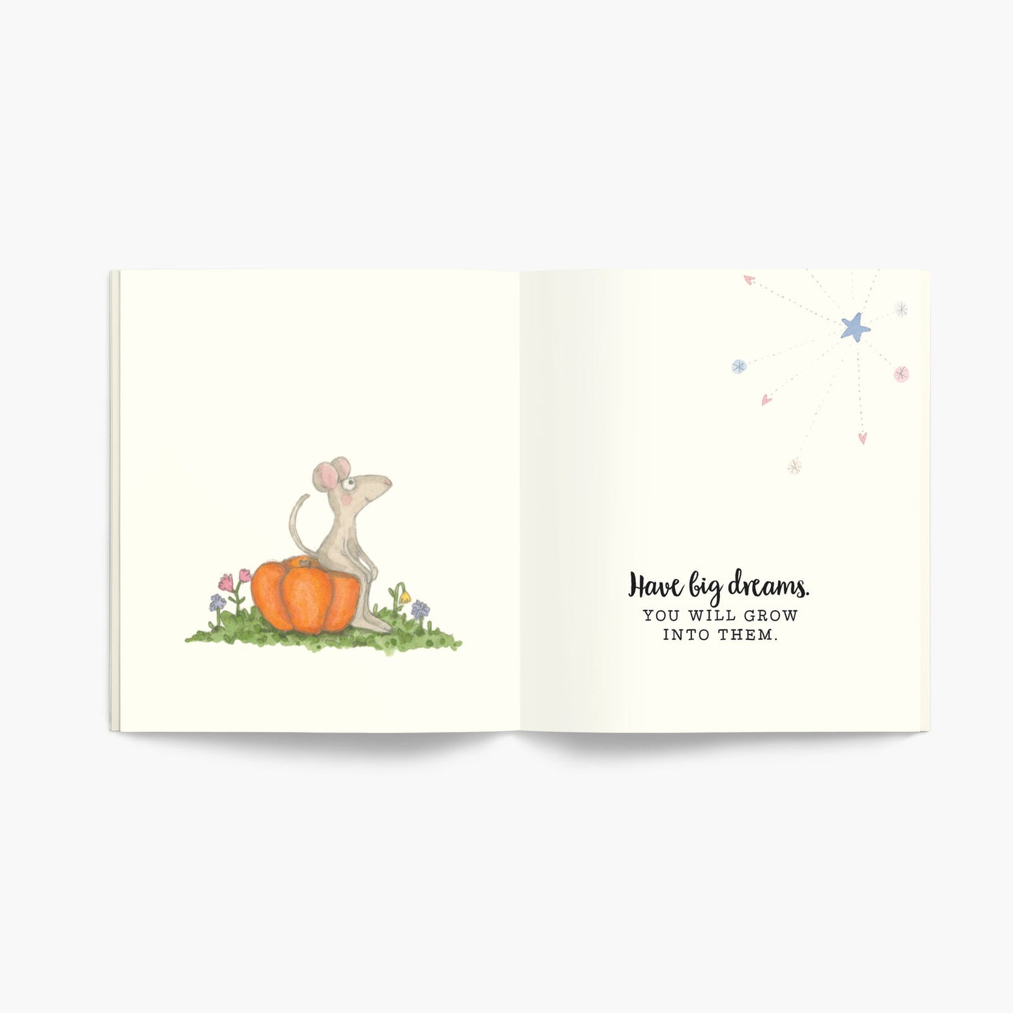 Twigseeds - A Little Book of Dreams