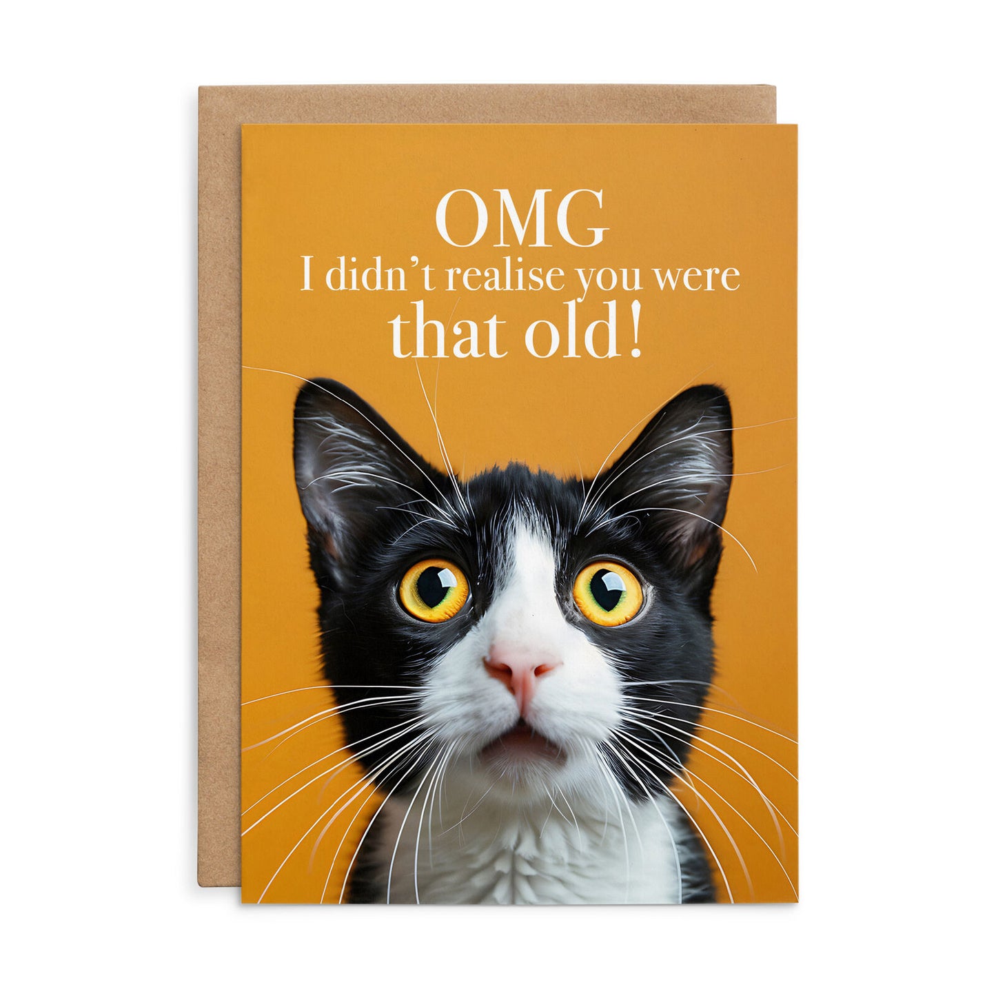Animal Affirmations Card - OMG I Didn’t Realise You Were That Old! (Cat)