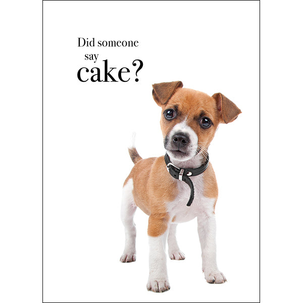 Animal Affirmations Card - Did Someone Say Cake? (Puppy)