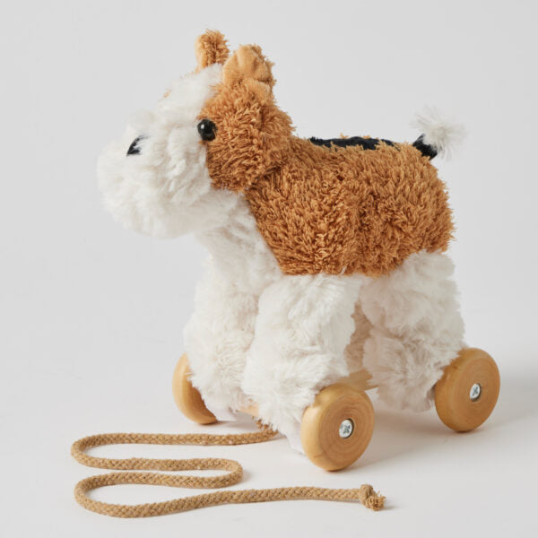 Dog Plush Pull Along Toy