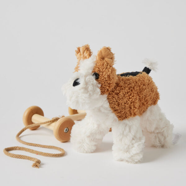 Dog Plush Pull Along Toy
