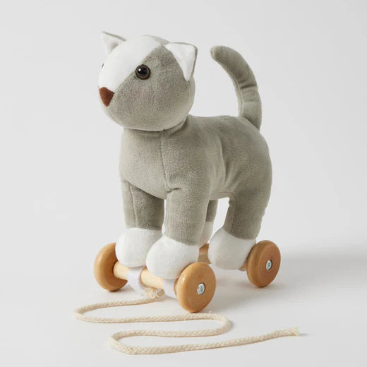 Cat Plush Pull Along Toy