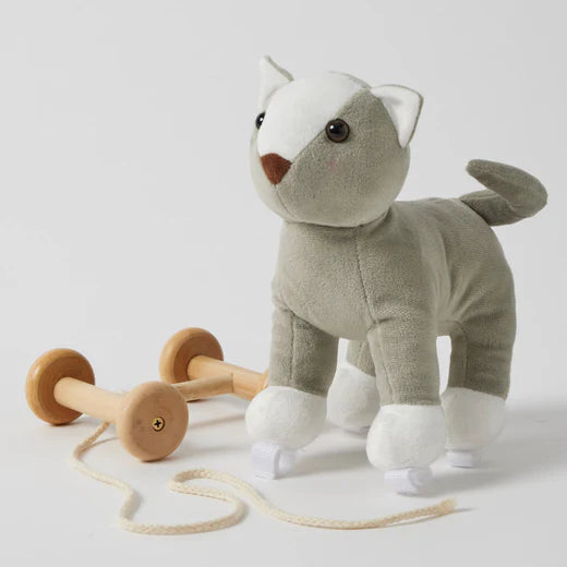 Cat Plush Pull Along Toy
