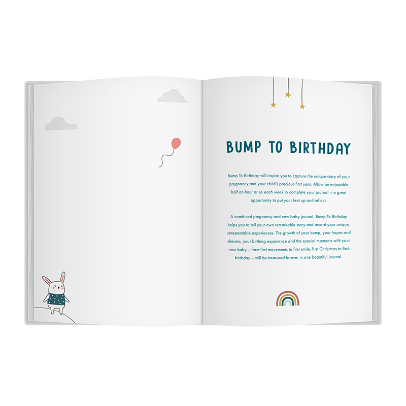Bump To Birthday - A Pregnancy & First Year Journal