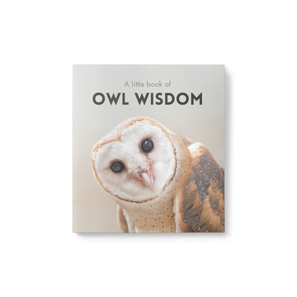 A Little Book of Owl Wisdom