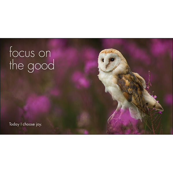 A Little Book of Owl Wisdom