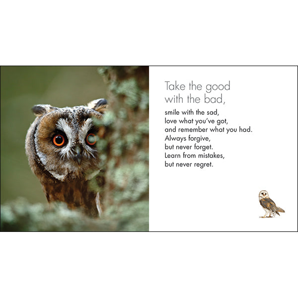A Little Book of Owl Wisdom