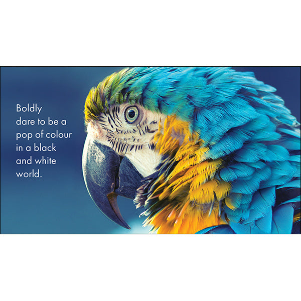 A Little Book of Jungle Joy