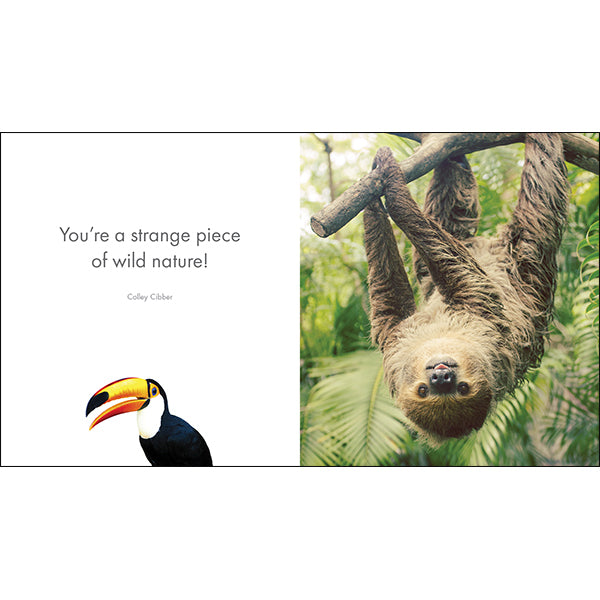 A Little Book of Jungle Joy