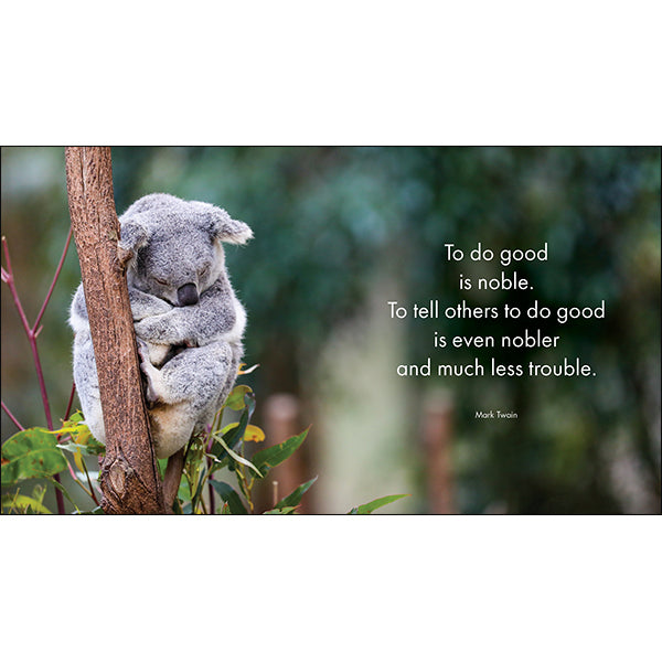 A Little Book of Koala Karma