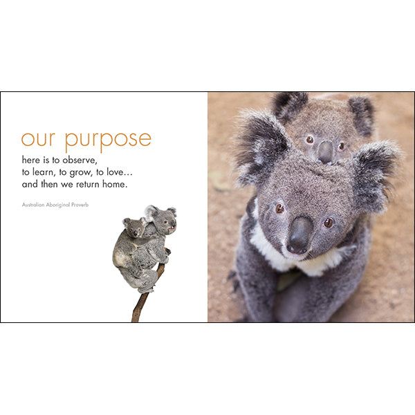 A Little Book of Koala Karma