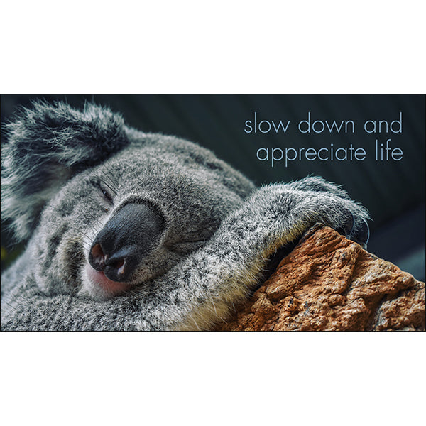A Little Book of Koala Karma