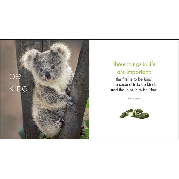 A Little Book of Koala Karma