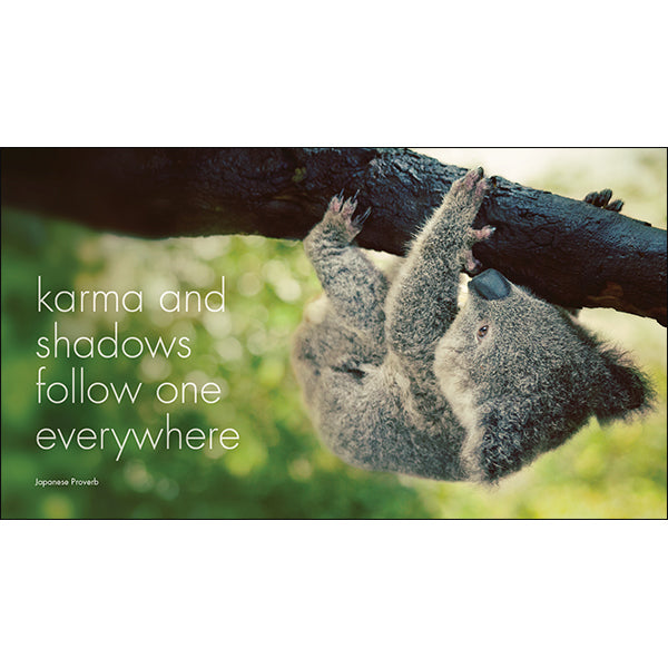 A Little Book of Koala Karma