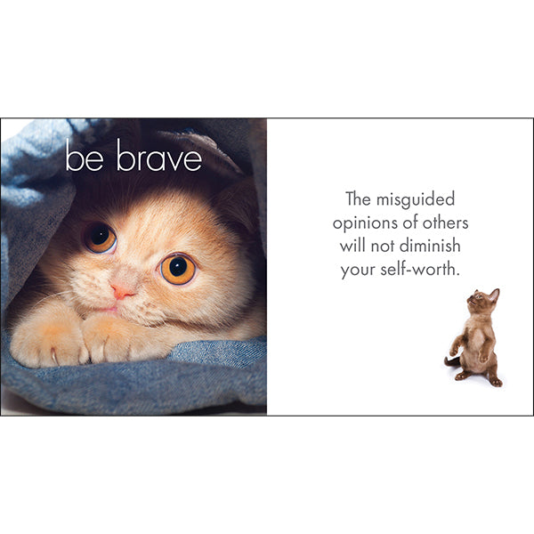 A Little Book of Purrfection