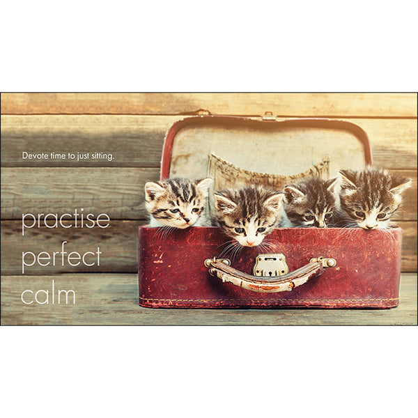 A Little Book of Purrfection
