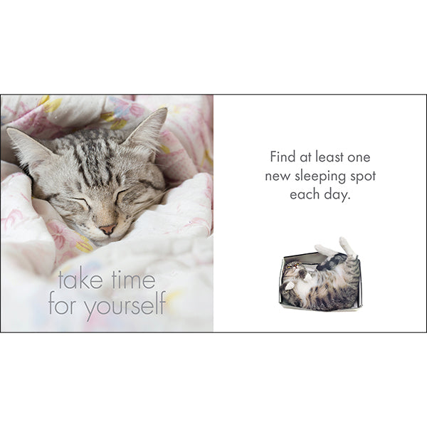 A Little Book of Purrfection