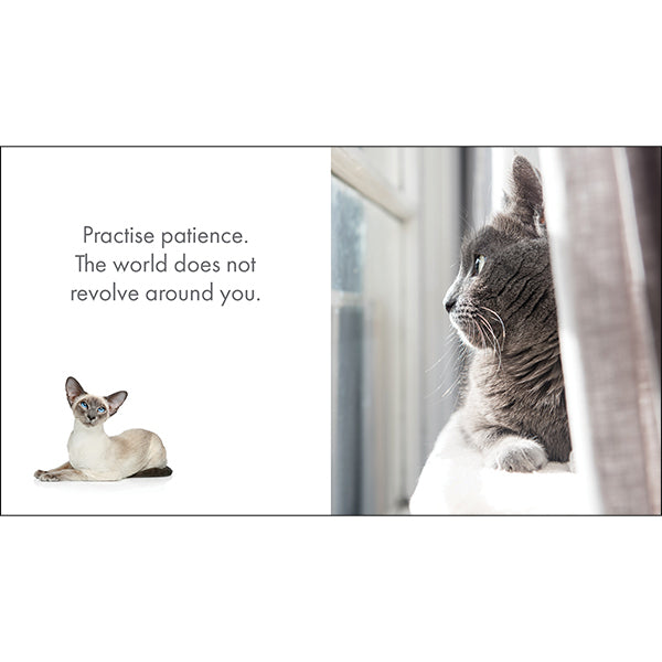 A Little Book of Purrfection