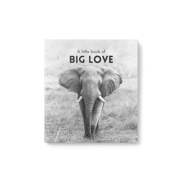 A Little Book of Big Love