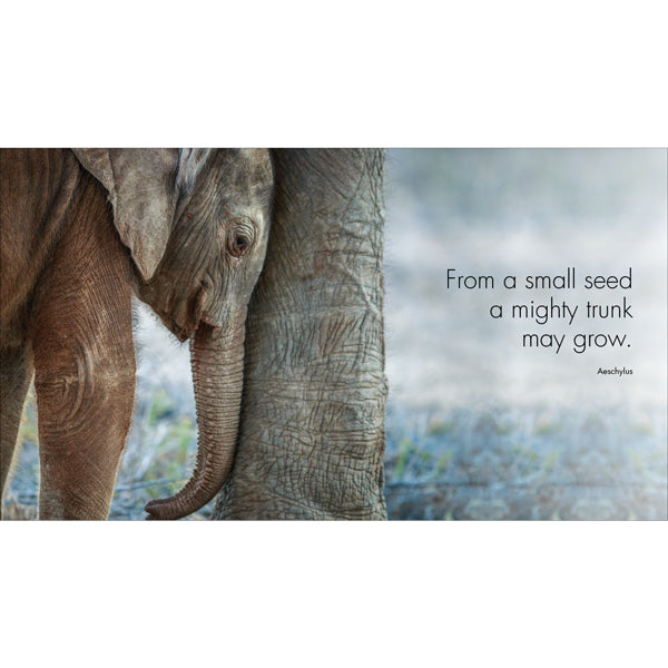 A Little Book of Big Love