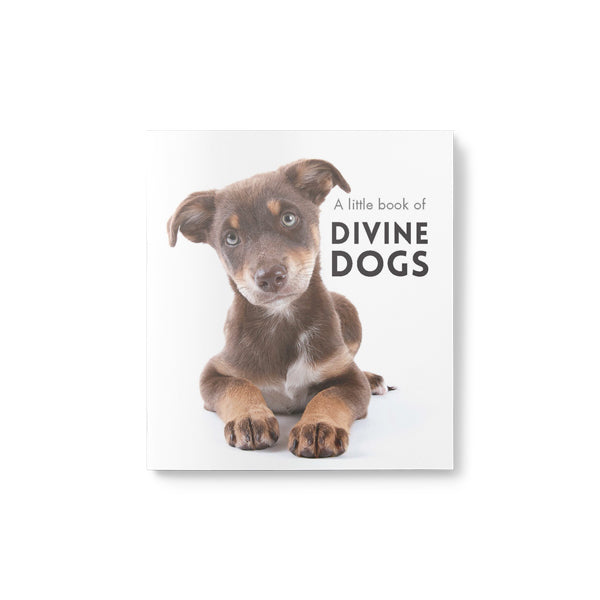 A Little Book of Divine Dogs