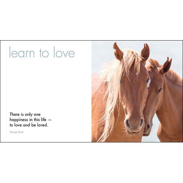 A Little Book of Heavenly Horses
