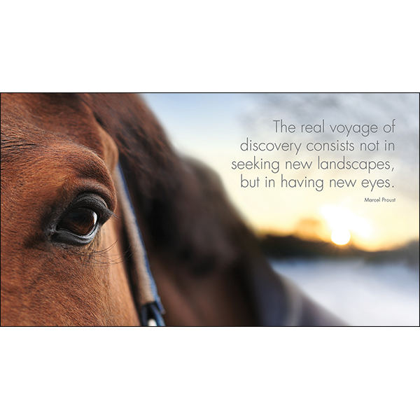 A Little Book of Heavenly Horses