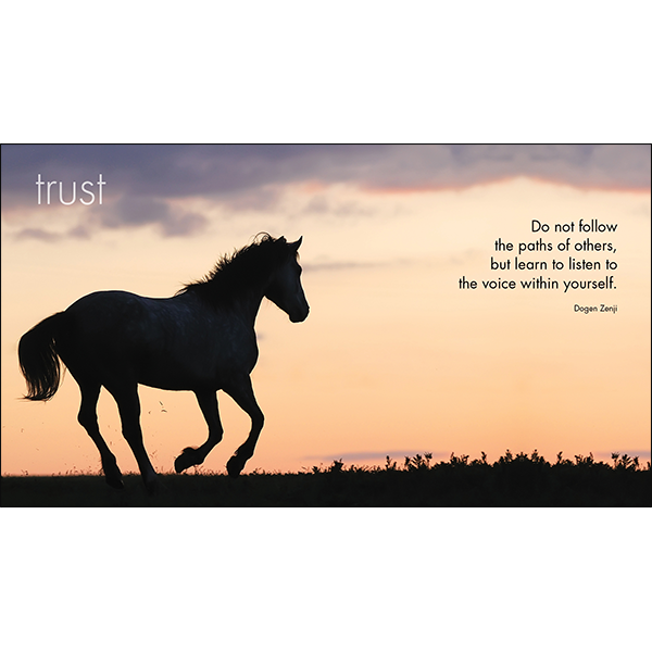 A Little Book of Heavenly Horses