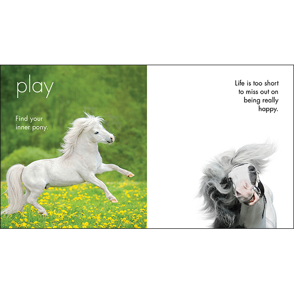 A Little Book of Heavenly Horses