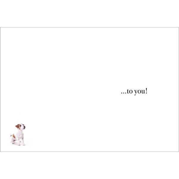 Animal Affirmations Card - Congratulations