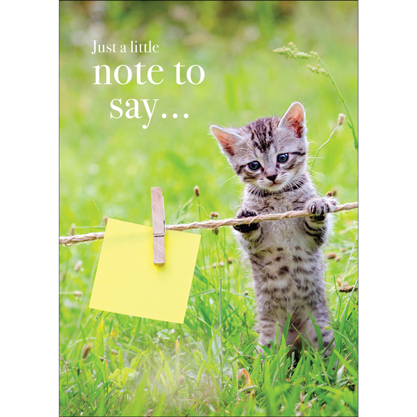 Animal Affirmations Card - Just a Little Note to Say…