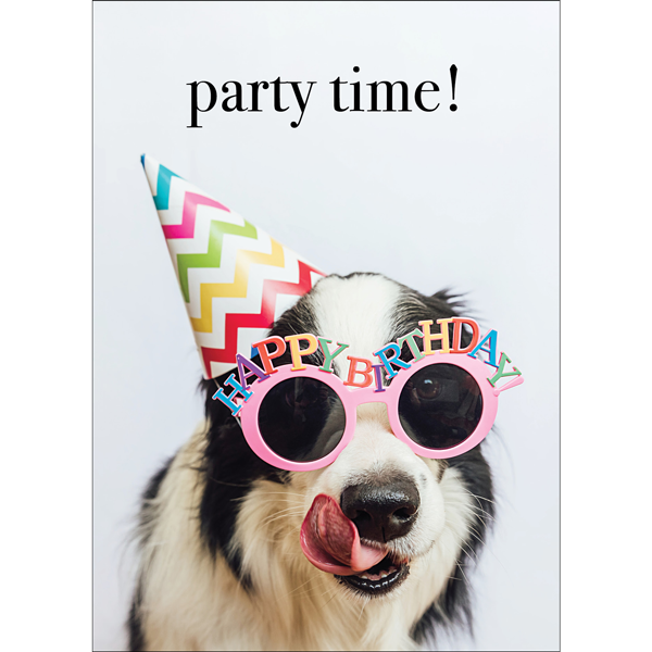 Animal Affirmations Card - Party Time!