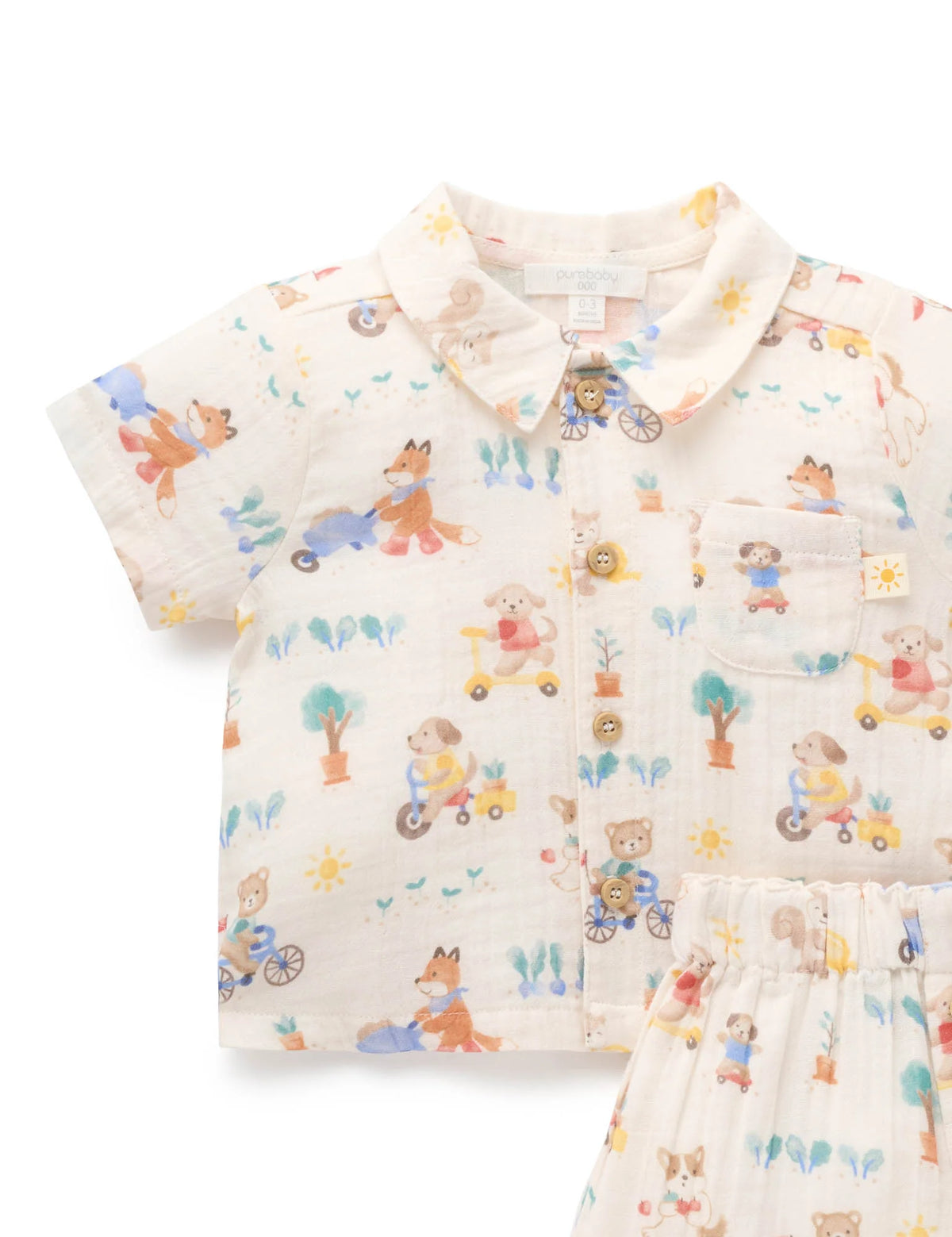 Let's Garden Crinkle Set