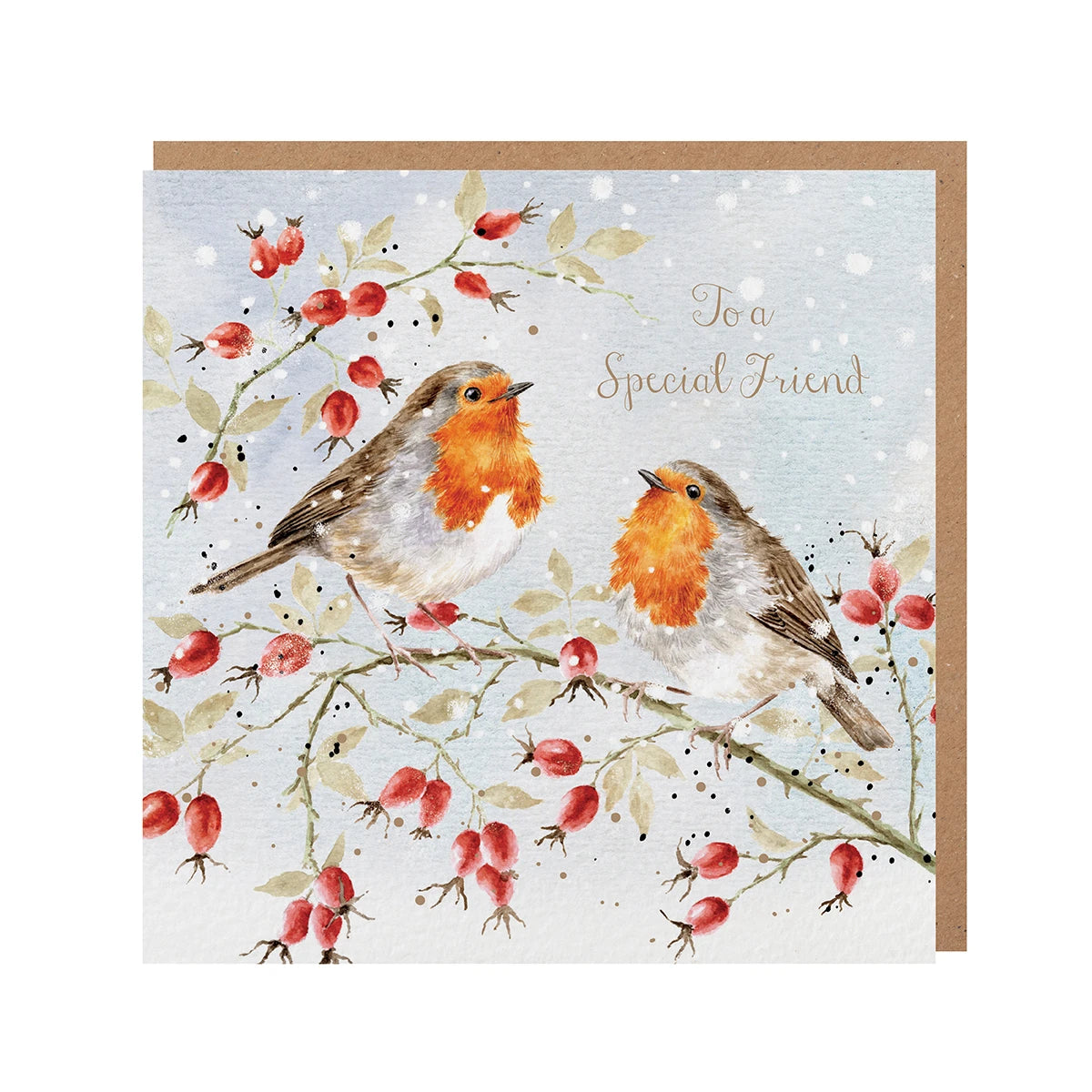 Wrendale Designs Christmas Card - ‘Special Friend’ (Feathers & Friendship)