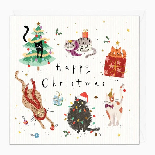 Whistlefish Christmas Card - Mischievous Kitties