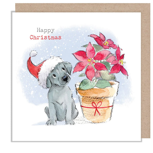 Paper Shed Design Christmas Card - Grey Puppy With Poinsettia