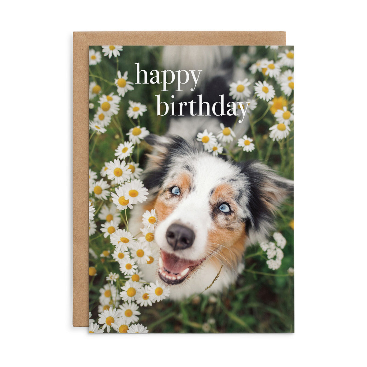 Animal Affirmations Card - Happy Birthday (Dog in Flowers)