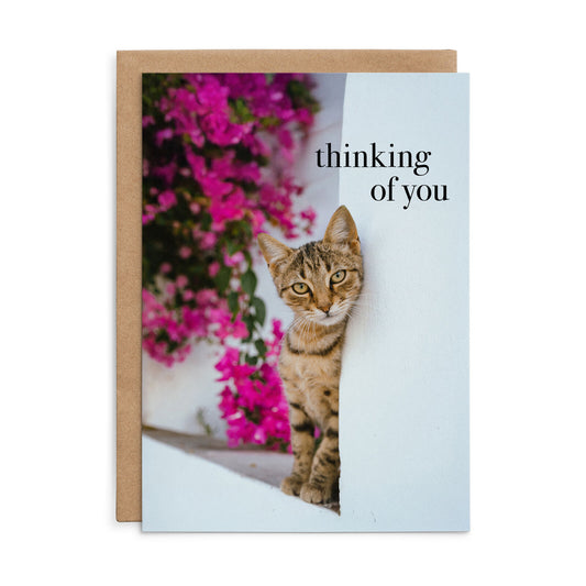 Animal Affirmations Card - Thinking of You (Cat)