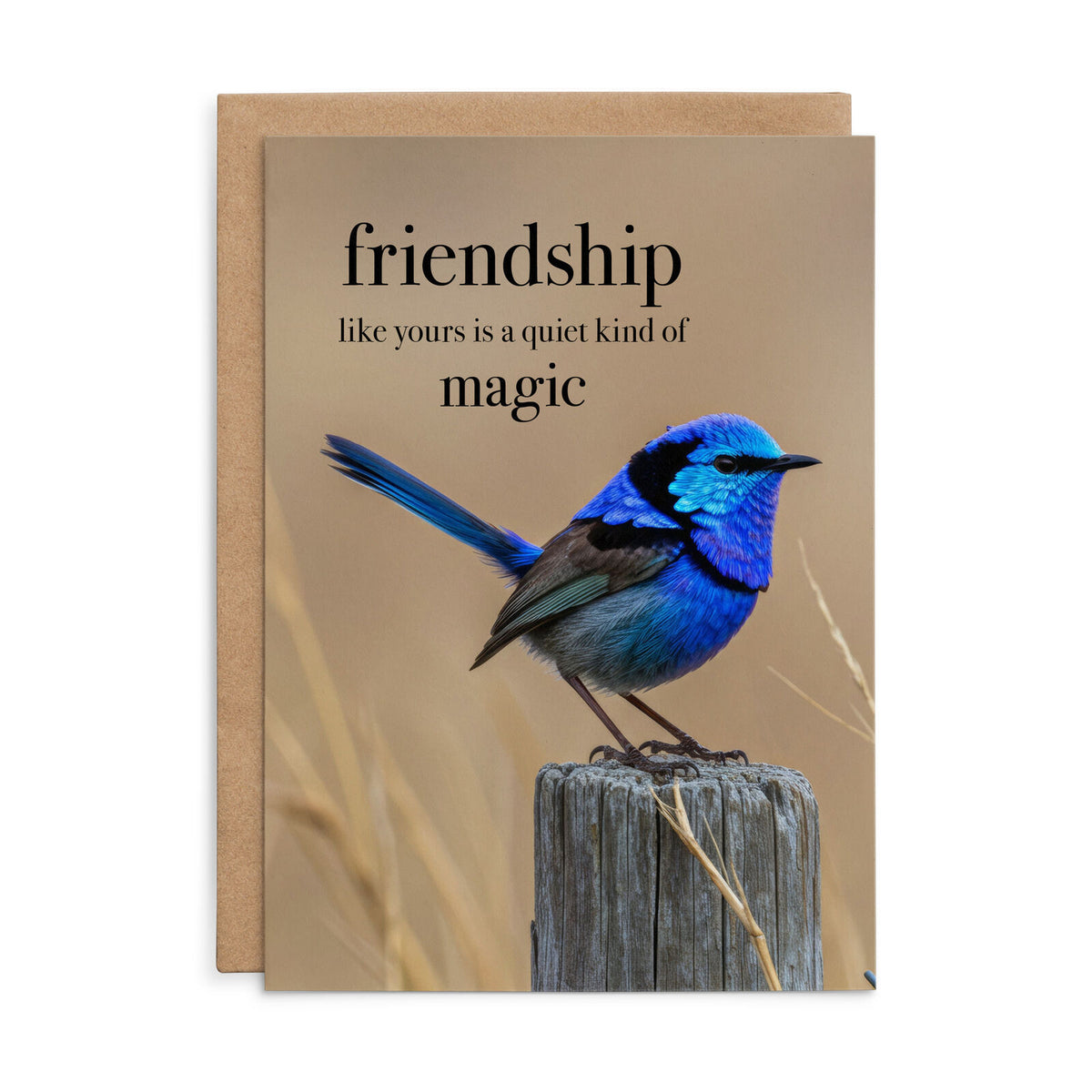 Animal Affirmations Card - Friendship Like Yours Is A Quiet Kind Of Magic (Blue Wren)
