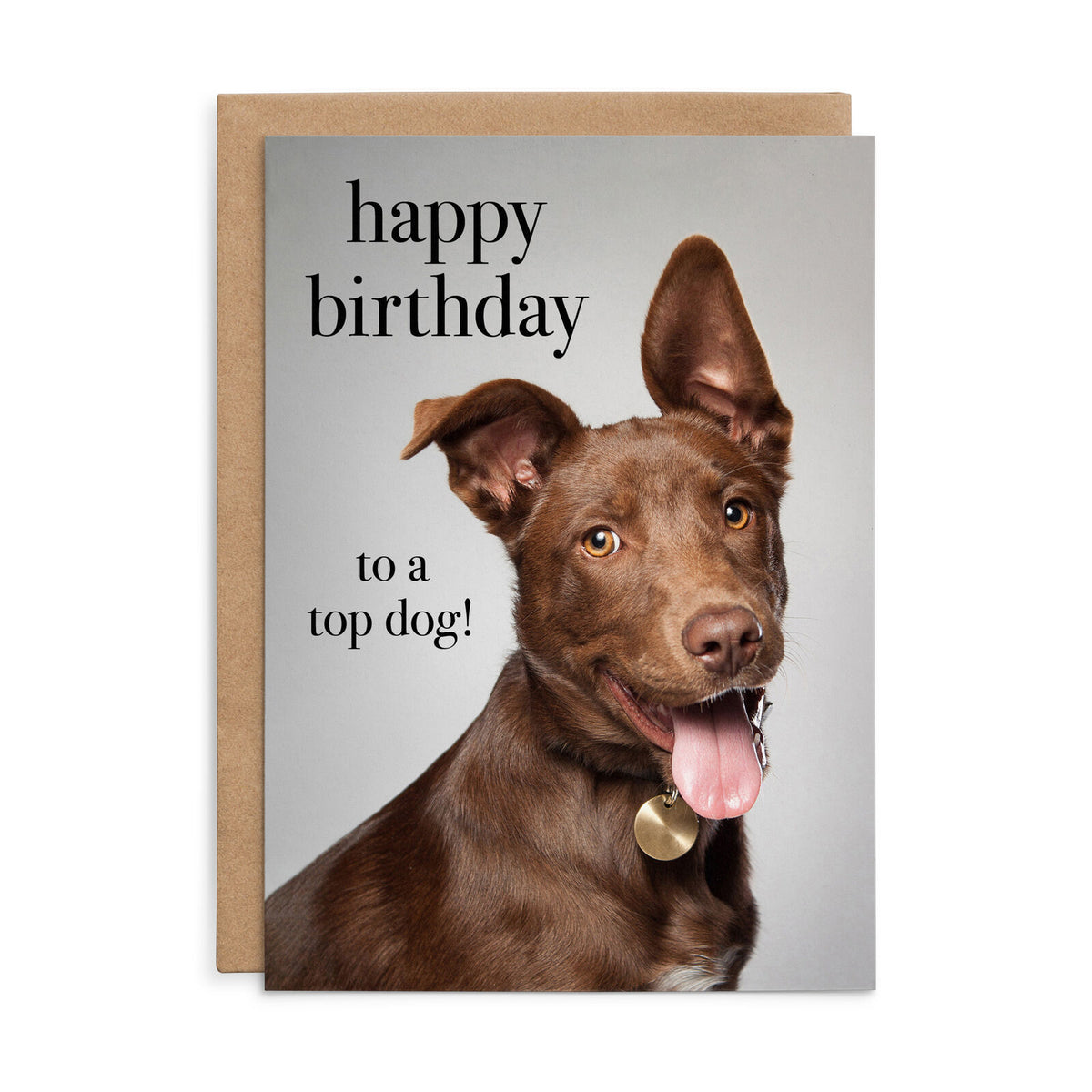 Animal Affirmations Card - Happy Birthday to a Top Dog!