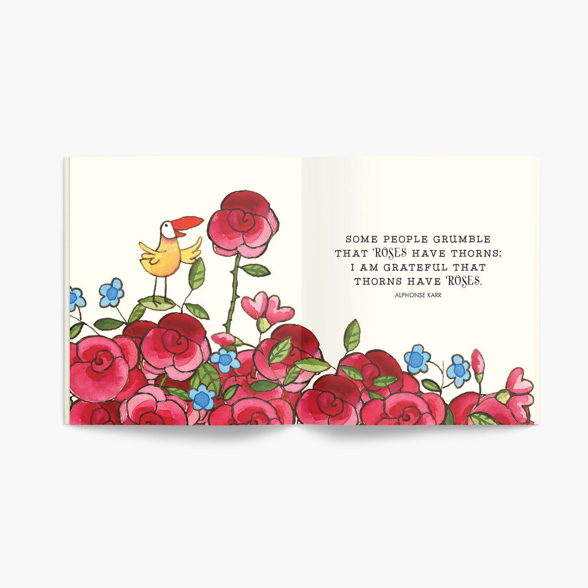 Twigseeds - A Little Book of Hope