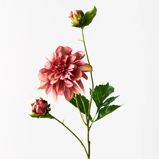 Dahlia Pompon - Mauve 65cm